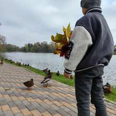 Фото отзыва 8174044