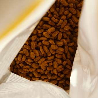 Корм влажный для кошек PRO PLAN RENAL PLUS 85 г с кроликом для стерилизованных: отзыв пользователя. Зоомагазин Зоозавр