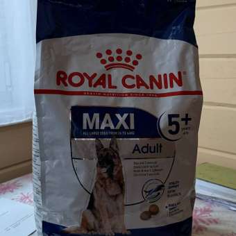 Корм для собак ROYAL CANIN Maxi Adult 5+ крупных пород 4кг: отзыв пользователя. Зоомагазин Зоозавр