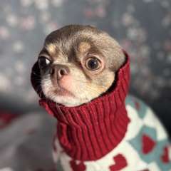 Фото отзыва 10507546