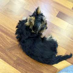 Фото отзыва 10922476