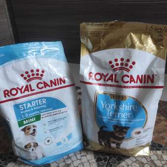 Корм для щенков ROYAL CANIN Junior породы йоркширский терьер 1.5кг: отзыв пользователя. Зоомагазин Зоозавр