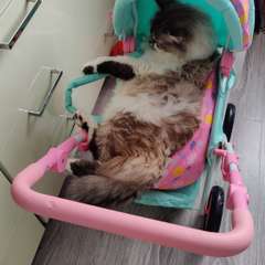 Фото отзыва 10892314