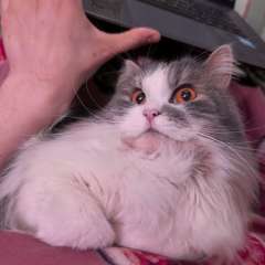 Фото отзыва 11078636