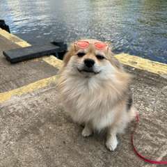 Фото отзыва 10321742