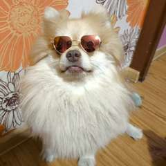 Фото отзыва 10651136