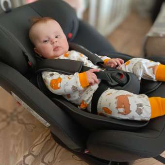 Автокресло Babyton Multi-Stage Grey Isofix 0+/1/2/3 (0-36 кг): отзыв пользователя ДетМир