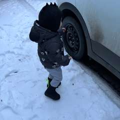 Фото отзыва 10850510