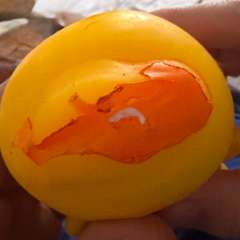 Фото отзыва 10837039