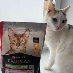 Фото отзыва 10924024