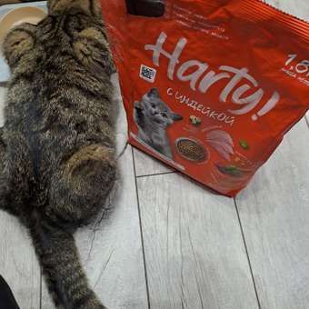 Корм для котят Harty 1.8кг с индейкой сухой: отзыв пользователя. Зоомагазин Зоозавр