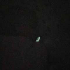 Фото отзыва 11040917