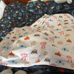 Фото отзыва 11078470