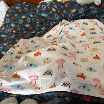 Пелёнка FunEcotex фланель 90х120 см 2 шт.: отзыв пользователя Детский Мир