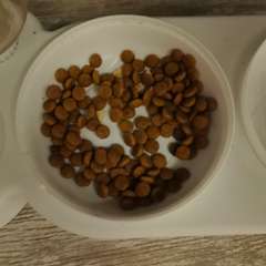 Фото отзыва 10967546