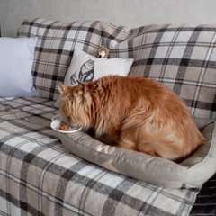 Фото отзыва 11002385