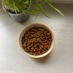 Фото отзыва 10614764