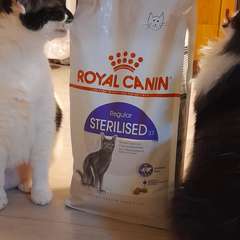 Фото отзыва 10812368