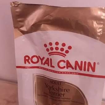 Корм для собак ROYAL CANIN породы йоркширский терьер 500г: отзыв пользователя. Зоомагазин Зоозавр