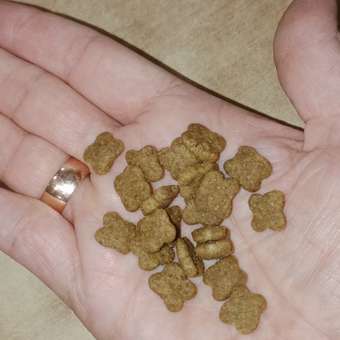 Корм для собак ROYAL CANIN мелких пород 800г: отзыв пользователя. Зоомагазин Зоозавр