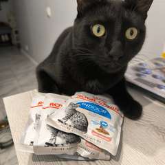 Фото отзыва 11003994