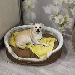 Фото отзыва 11085896