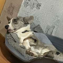 Фото отзыва 10465452