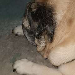 Фото отзыва 10754545