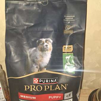 Корм сухой для щенков PRO PLAN SENSITIVE DIGESTION 1.5 кг с ягненком для средних пород: отзыв пользователя. Зоомагазин Зоозавр