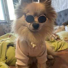 Фото отзыва 11163727