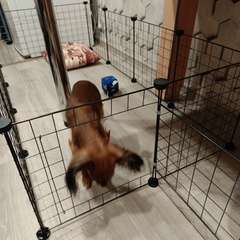 Фото отзыва 10712726