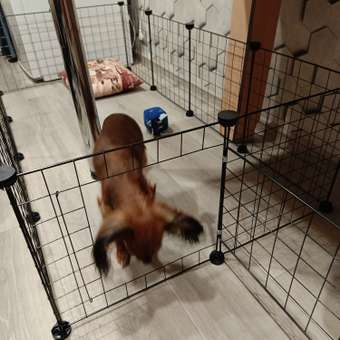 Вольер MAO CHONG HW50196-1A: отзыв пользователя. Зоомагазин Зоозавр