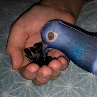 Мягкая игрушка Tallula Голубь: отзыв пользователя Детский Мир