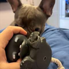 Фото отзыва 11013127