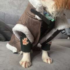 Фото отзыва 10313578