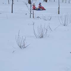 Видео отзыва 11152995