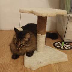 Фото отзыва 10731881