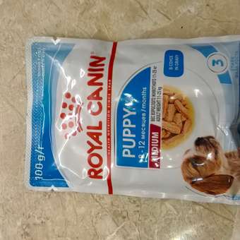 Корм для щенков влажный ROYAL CANIN Medium Puppy средних пород в возрасте до 12 месяцев соус 100 г: отзыв пользователя. Зоомагазин Зоозавр