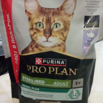 Корм для кошек Pro Plan 400+200г индейка: отзыв пользователя. Зоомагазин Зоозавр