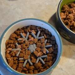 Фото отзыва 10551887