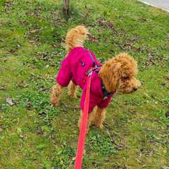 Фото отзыва 10658258