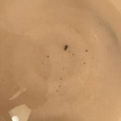 Фото отзыва 10179094