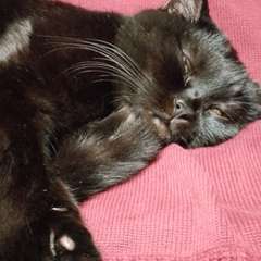 Фото отзыва 10727772