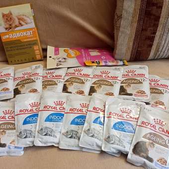 Корм для кошек ROYAL CANIN Ageing 85гр для пожилых 12+ желе пауч: отзыв пользователя. Зоомагазин Зоозавр
