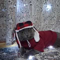 Фото отзыва 10638558