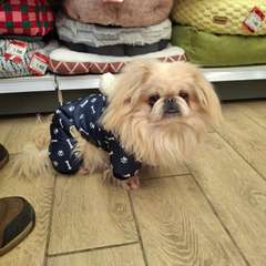 Фото отзыва 10966426