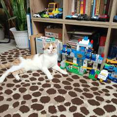 Фото отзыва 11151862