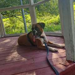 Фото отзыва 10690952