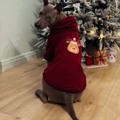 Фото отзыва 10544937