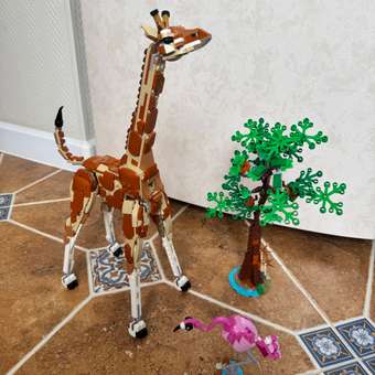 Конструктор LEGO Creator Дикие животные сафари 780 дет.: отзыв пользователя Детский Мир